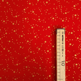 Cotone Natale H 140 cm - CIELO STELLATO/ROSSO