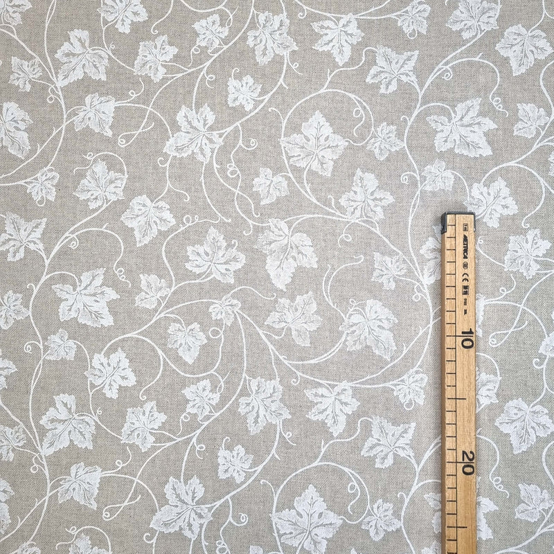 Coton brut H 280 cm - VIGNE