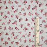 Coton brut H 280 cm - ROSES BOURGOGNE