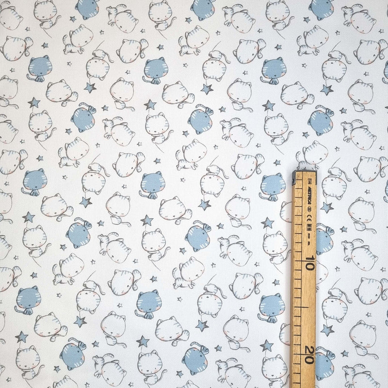 Piquet de coton H 150 cm - CHATONS BLEU