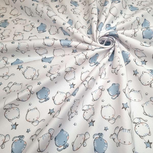 Piquet de coton H 150 cm - CHATONS BLEU