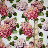 Bügelfreier ROSA HYDRANGEAS-Stoff – H 160 cm